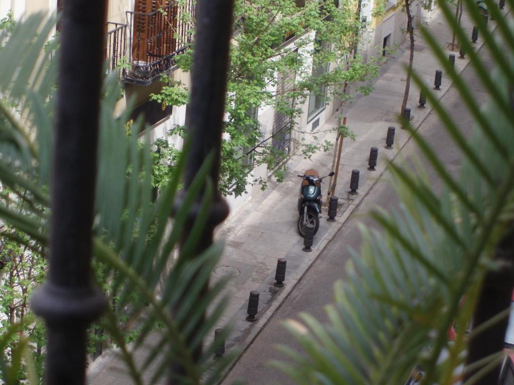 Hostal Castilla — Photos 3